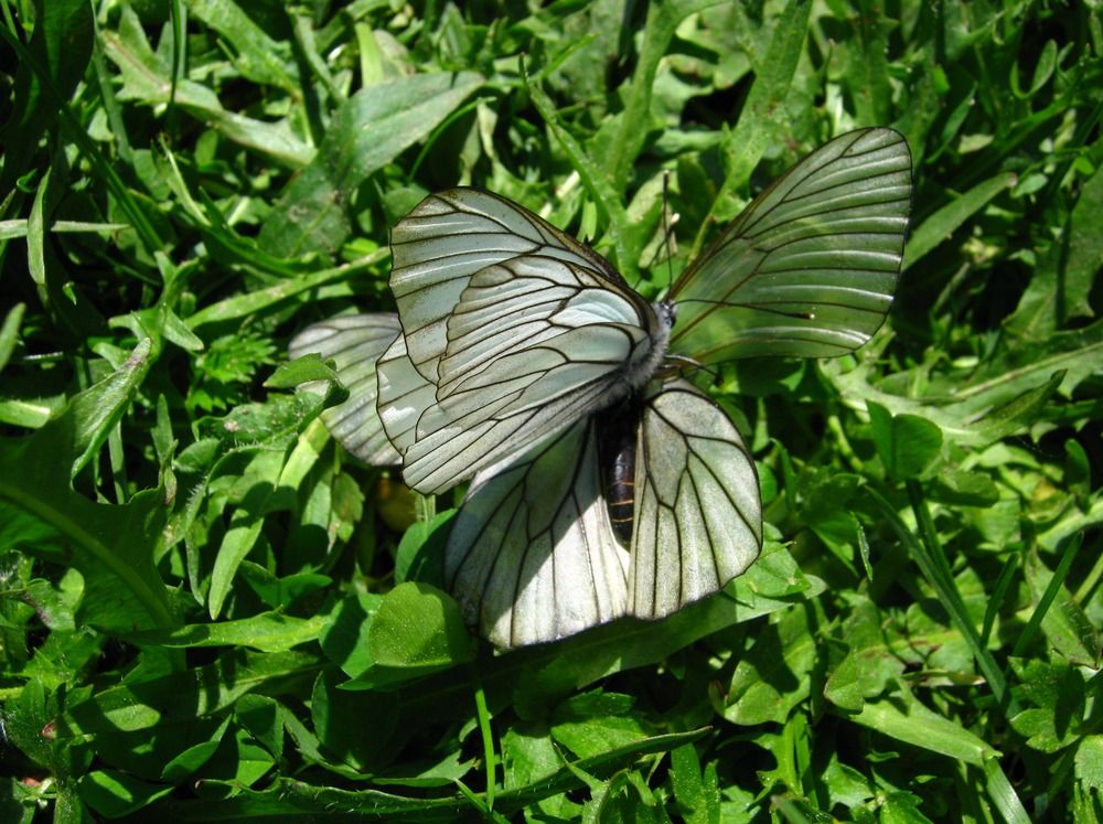 Фотография автора геннадий лалаев