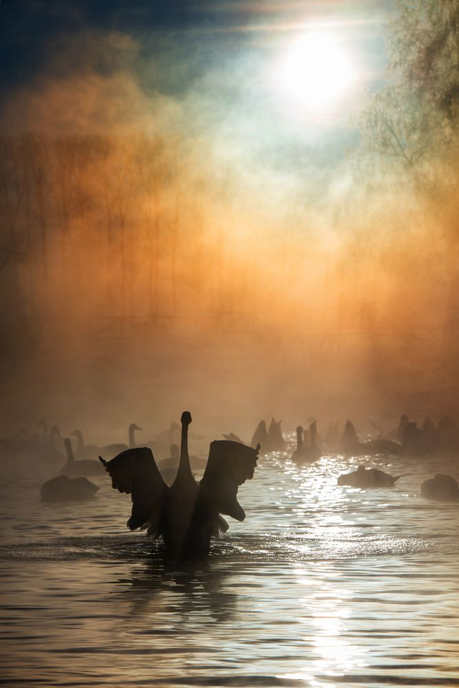 Тревожная элегантность-3