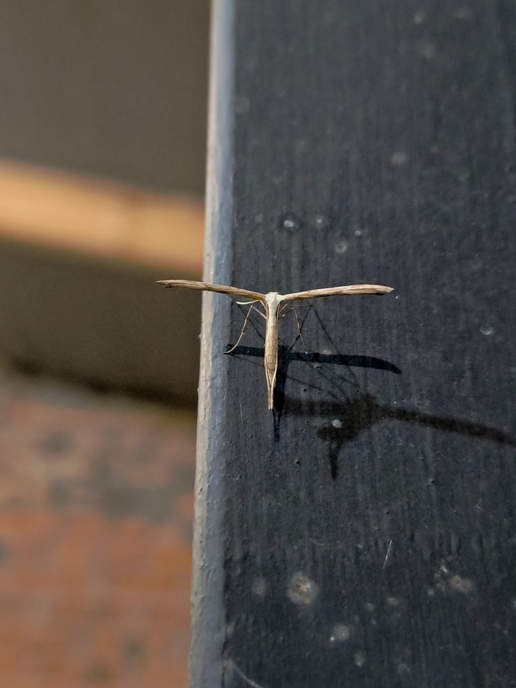 Photograph by Александр Житник