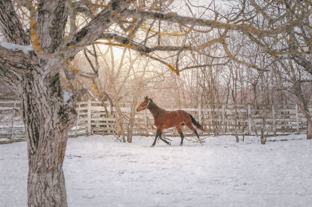 Photograph by Alexey Rodionov