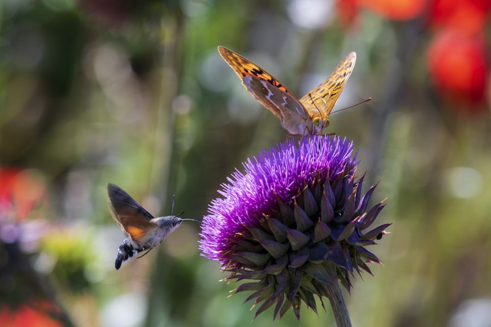 Вкусный завтрак