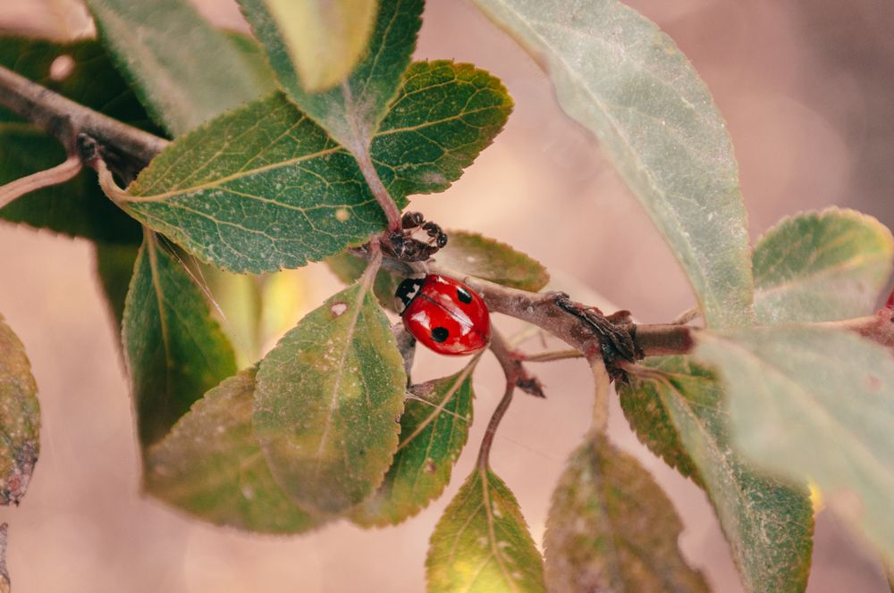 Photograph by Alexey Rodionov