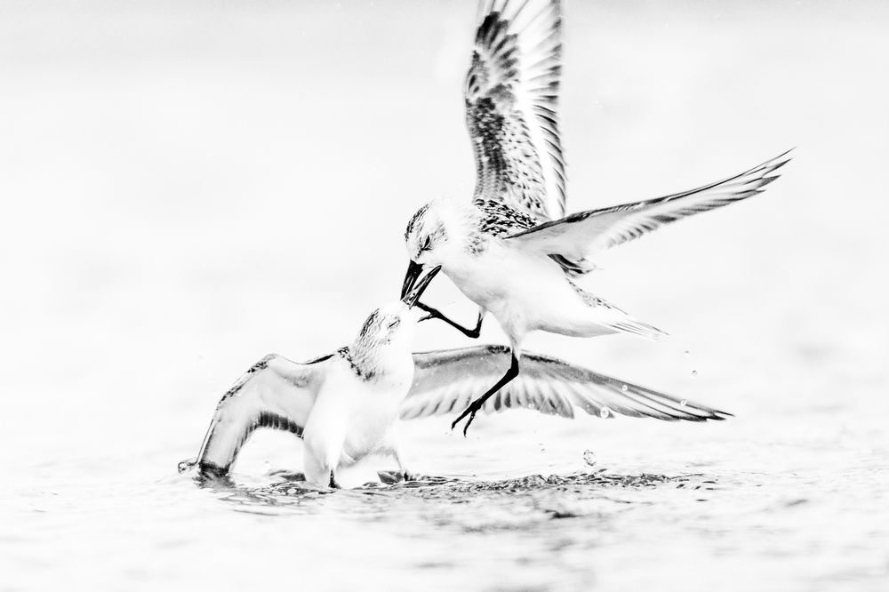 Photograph by Luisa Lynch