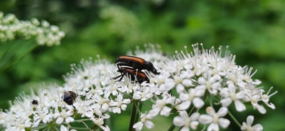 Photograph by Елена