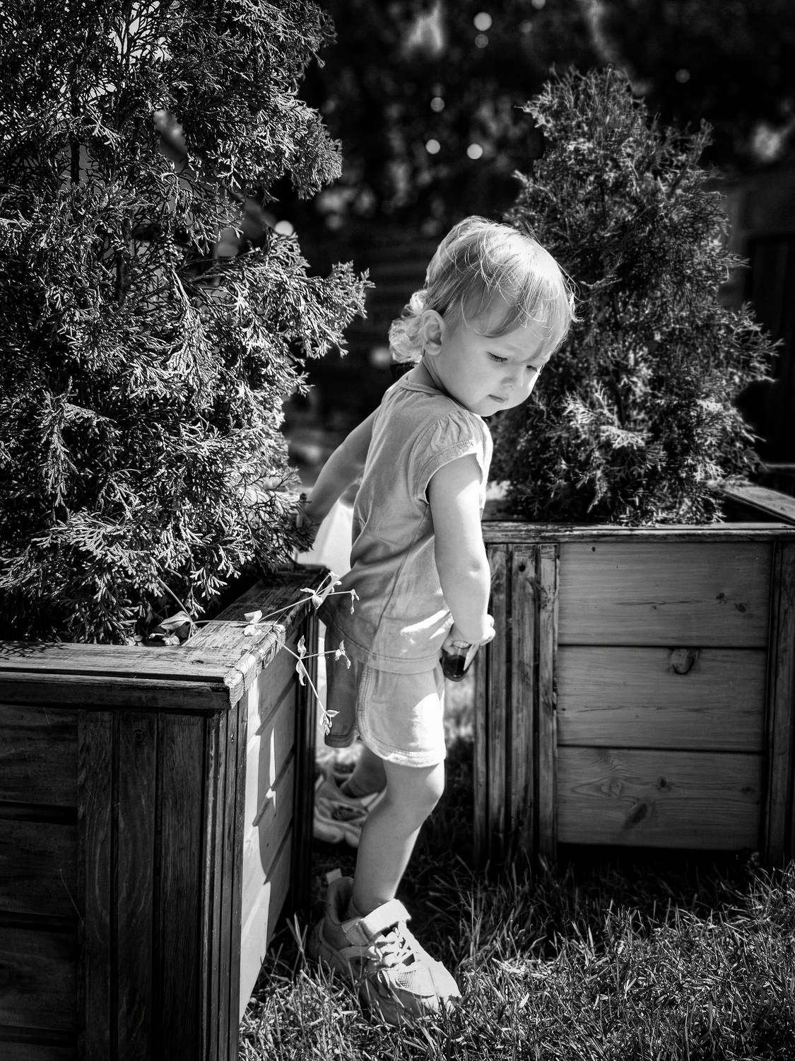 Фотография #12050747