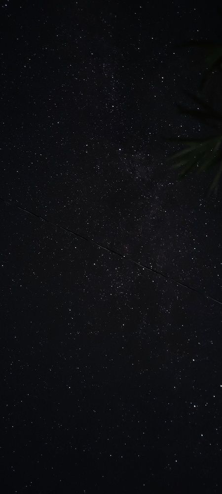 Photo #12050784