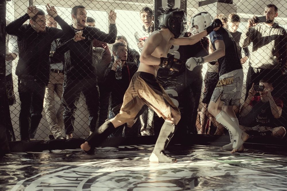 Фотография автора Екатерина Шаманаева