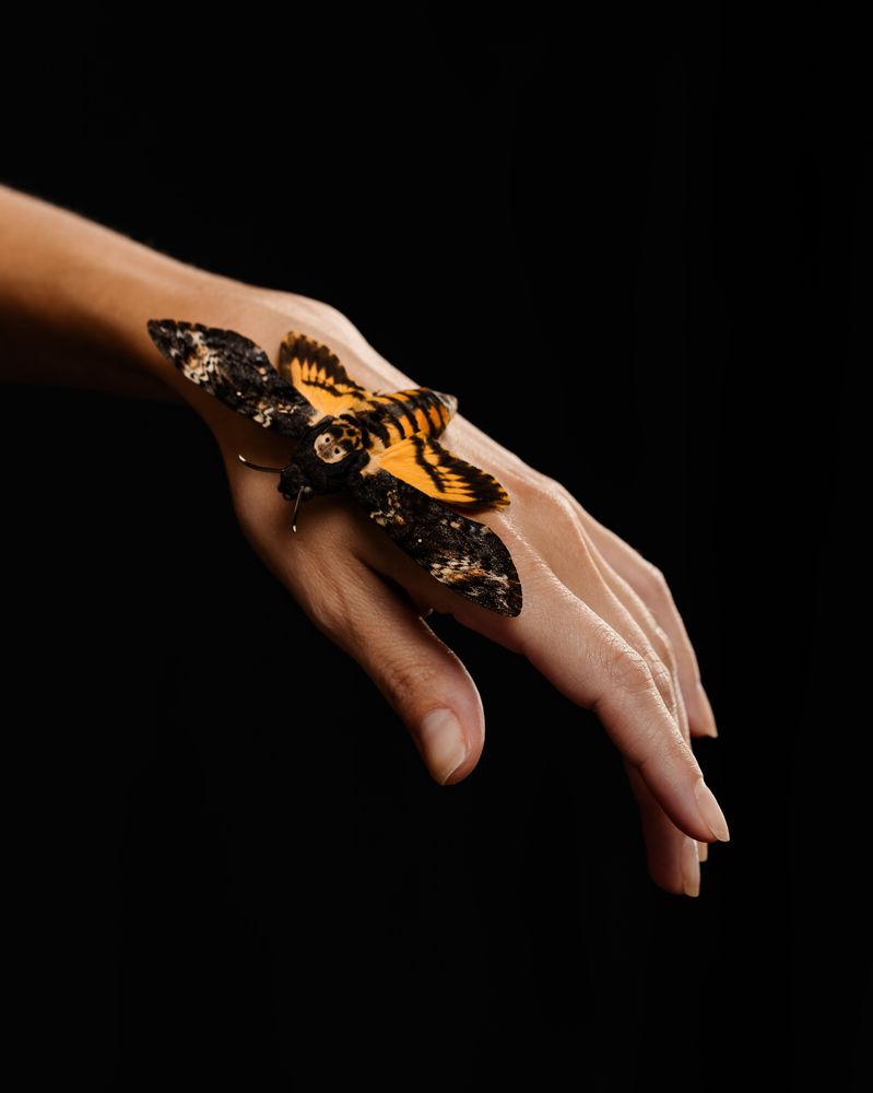 Photograph by Наталия Черкасова