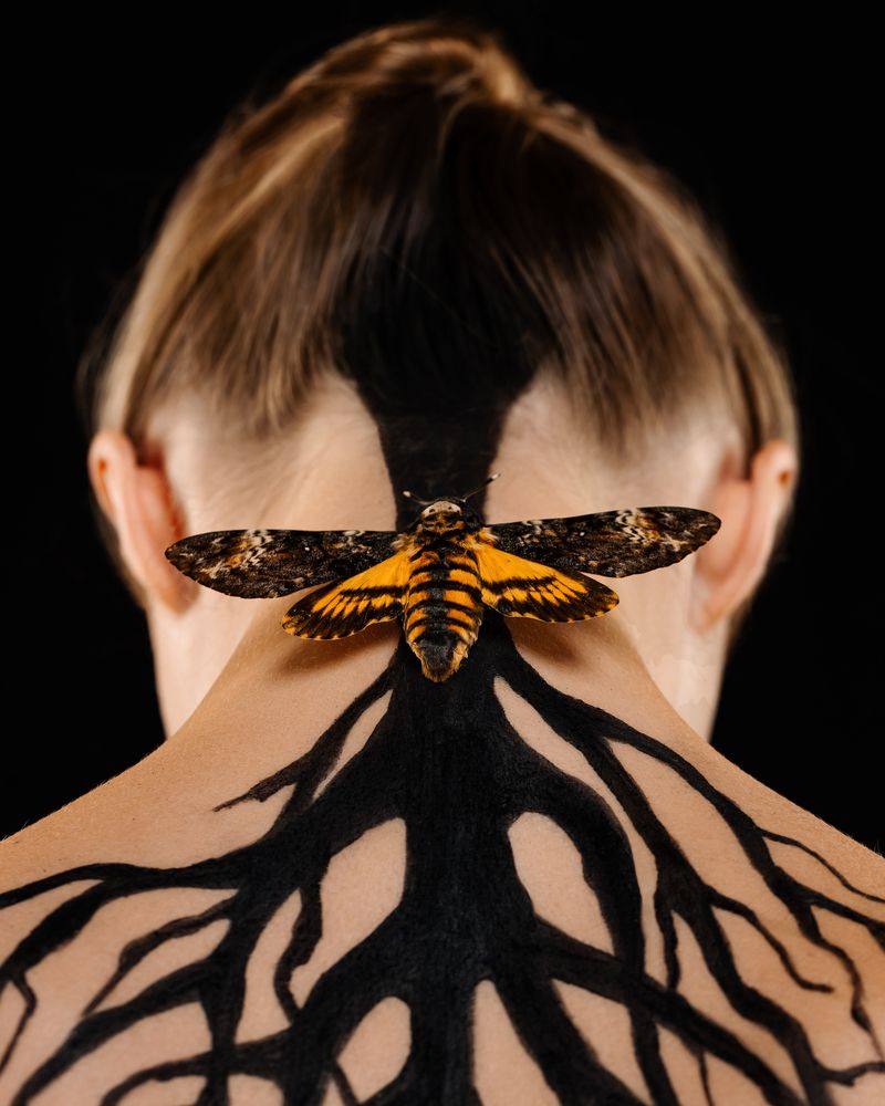 Photograph by Наталия Черкасова