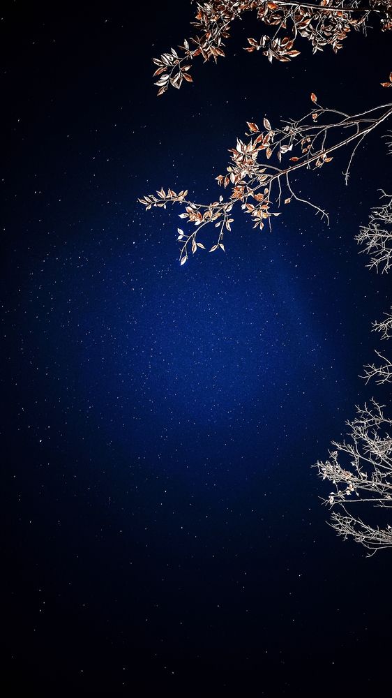 Photograph by Ирина Строкова