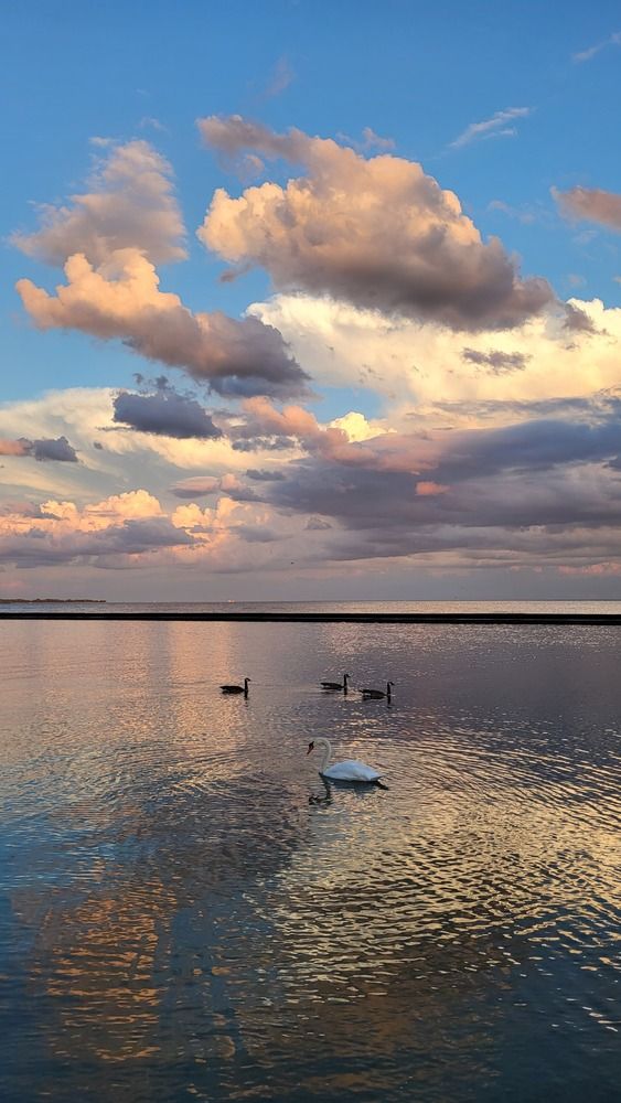 Photograph by Дмитрий Грипич