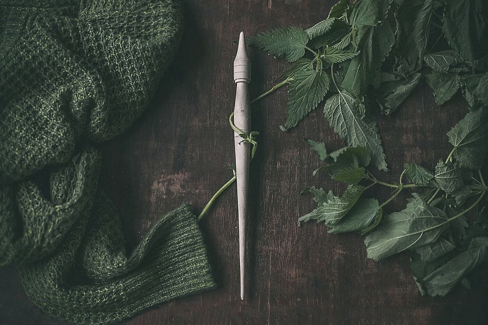 Дикие лебеди