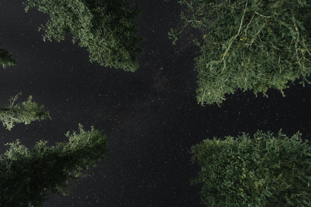 Photograph by Никита Филиппов