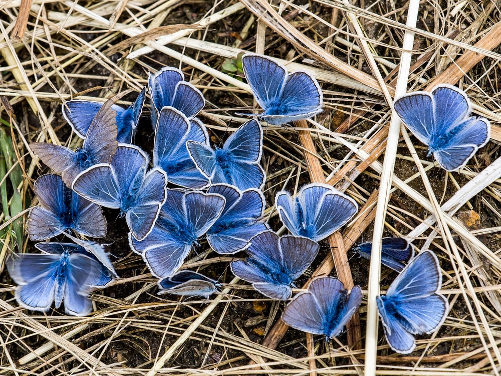 Photograph by Сергей Конюшенко