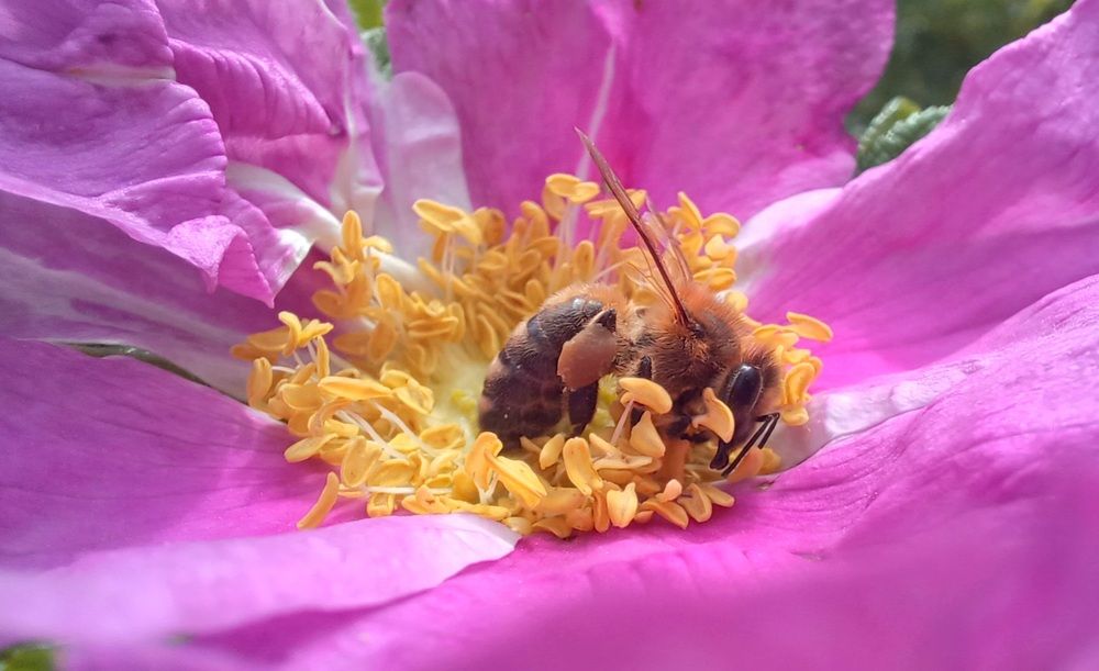 Photograph by Елена