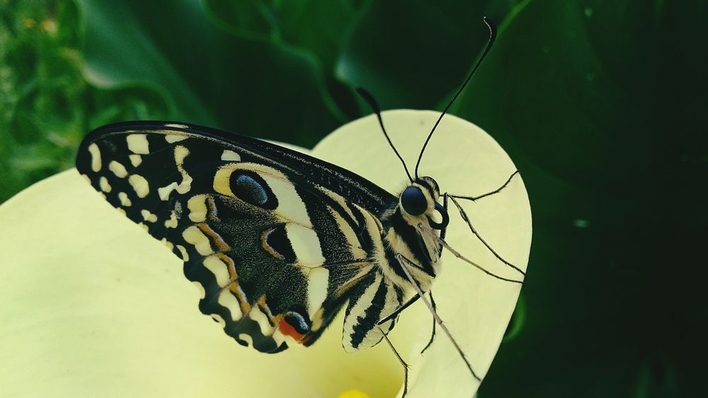 Фотография автора Rita Duvenhage