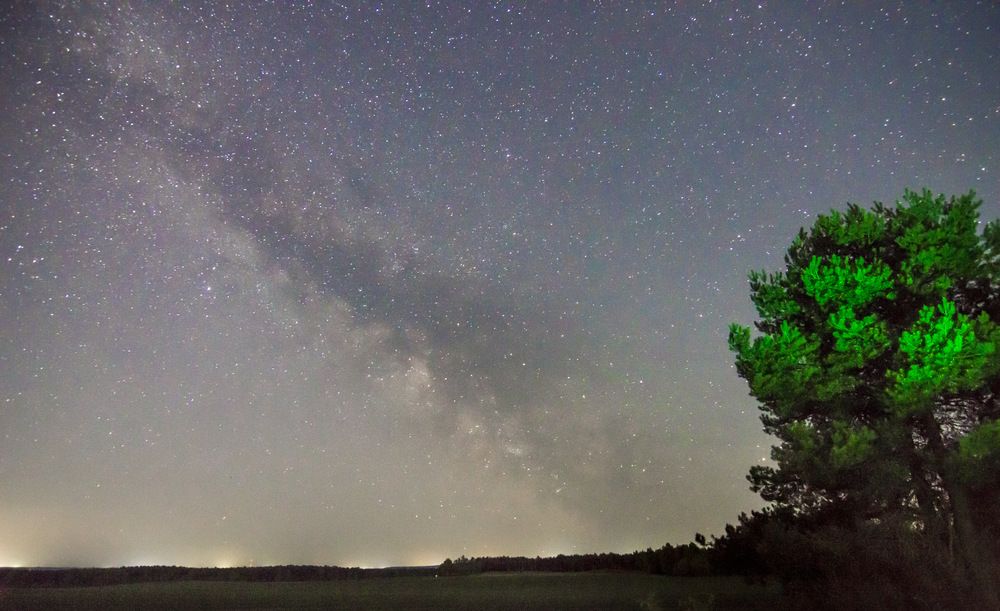 Photograph by Артём Амельянчик