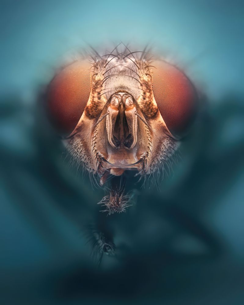 Photograph by Jorge Luis Cresti