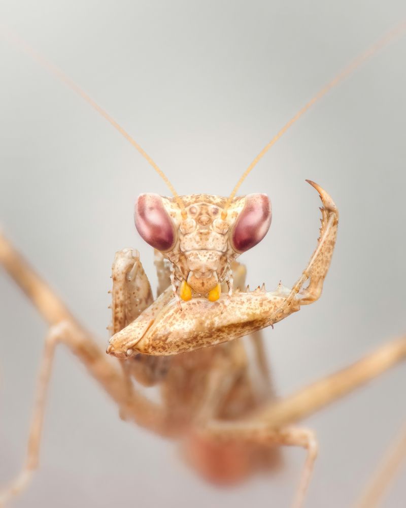 Photograph by Jorge Luis Cresti