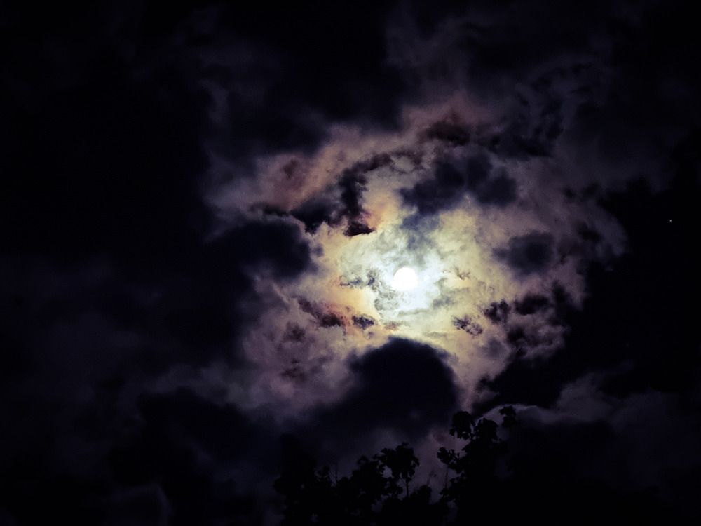 Фотография автора Rita Duvenhage