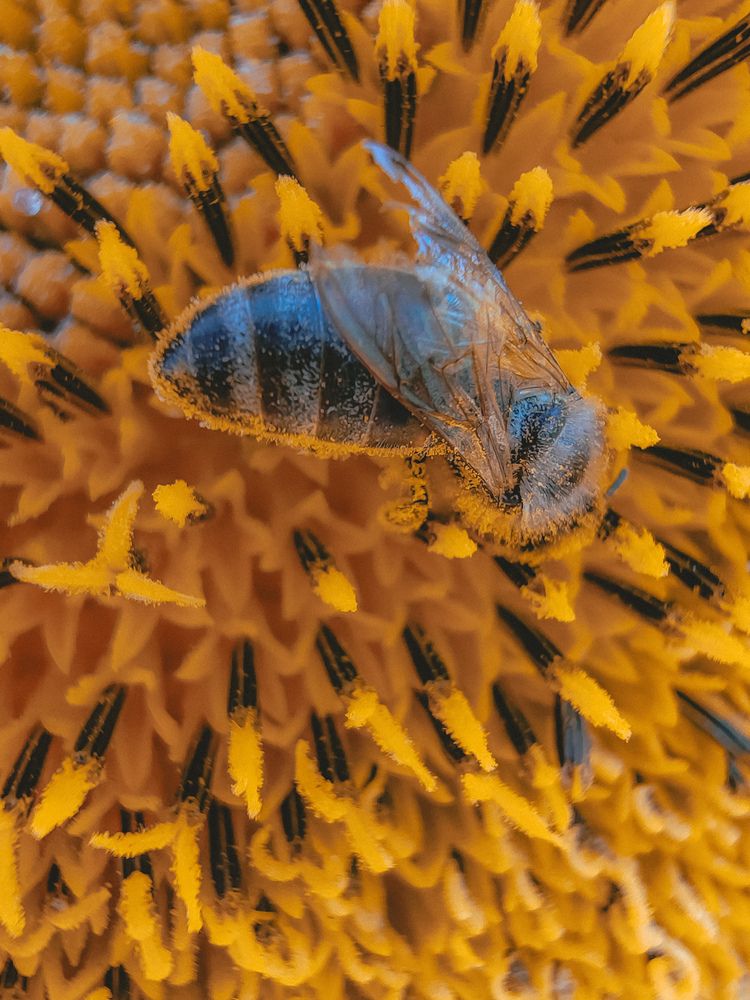 Photograph by Марина