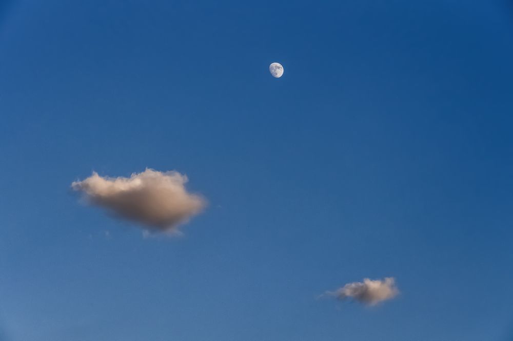 Photograph by Евгения Черентаева