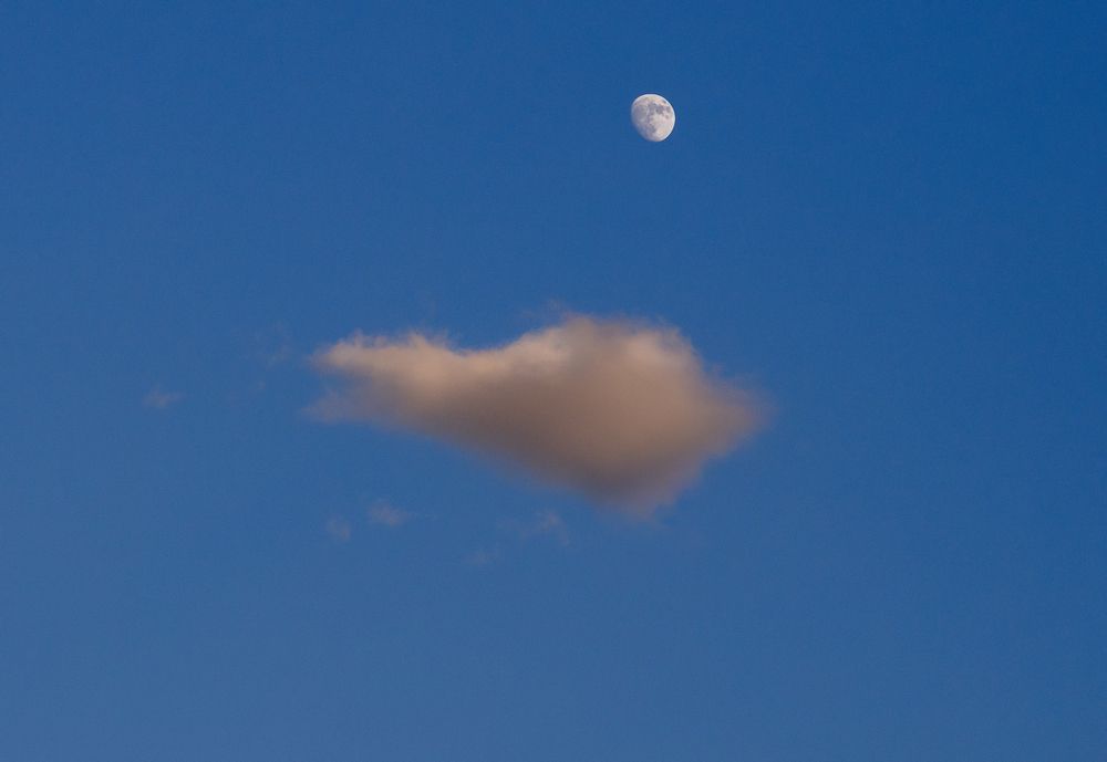 Photograph by Евгения Черентаева