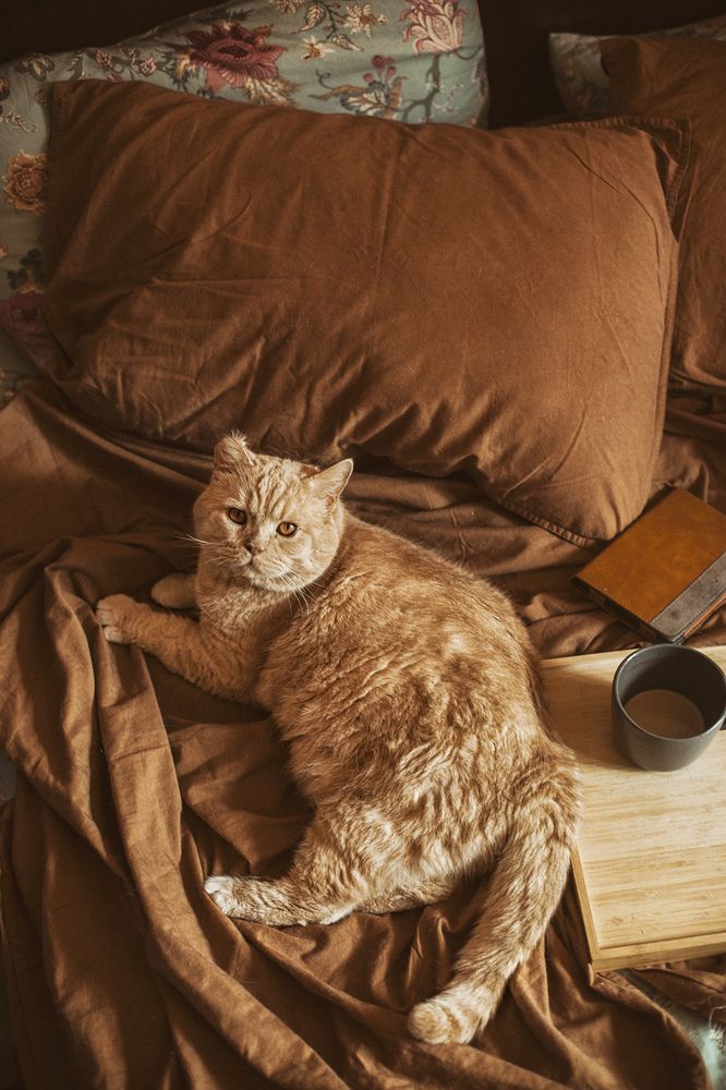 Photograph by Marina Beschastnova