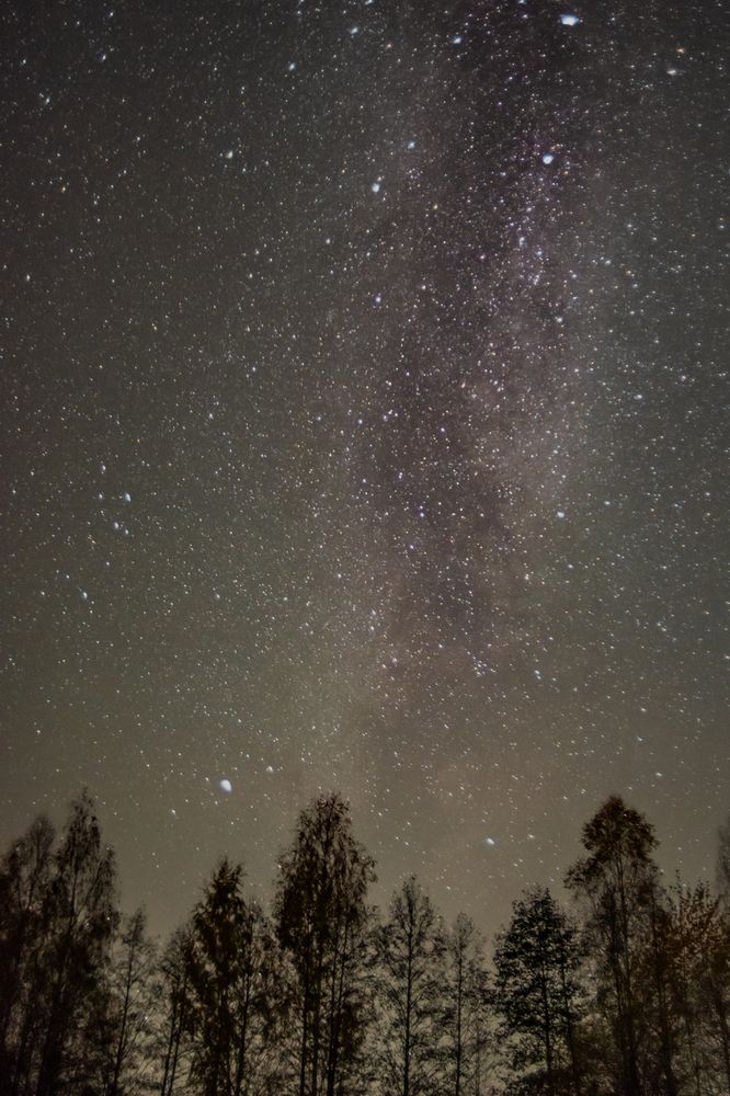 Фотография автора Aлексей Игнатьев