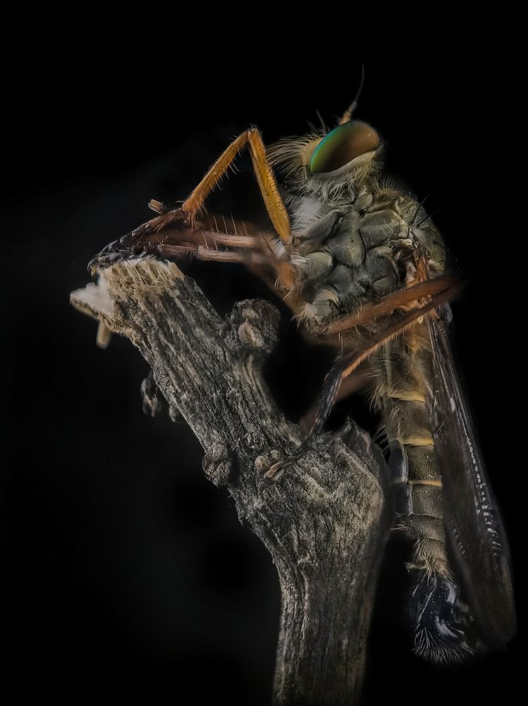 Photograph by Ferdinand Ornedo