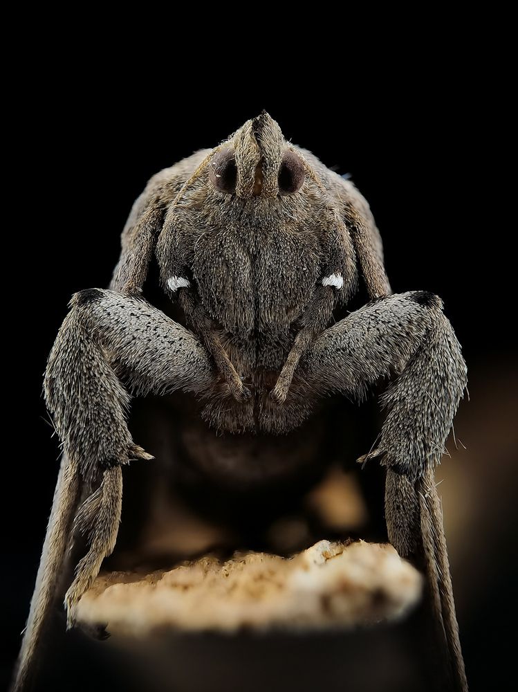 Photograph by Ferdinand Ornedo