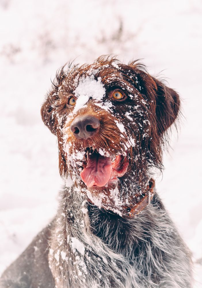 Photograph by Ольга Глущенко