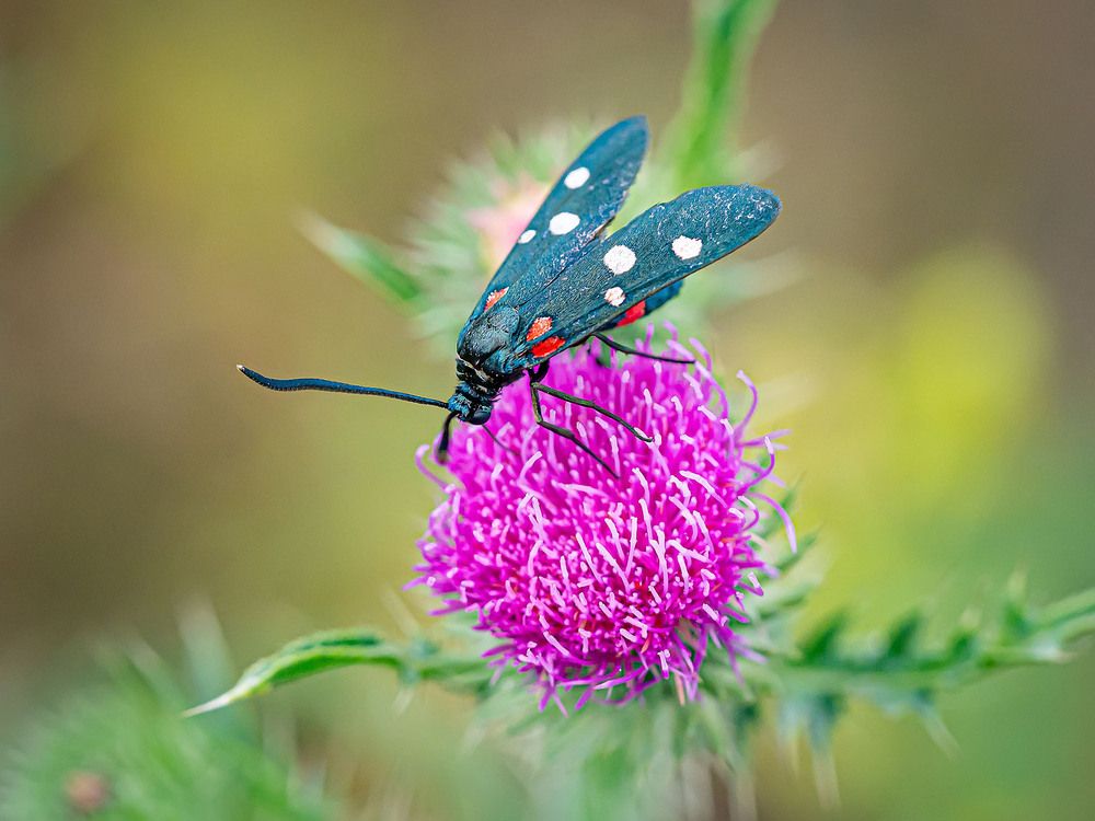 Photograph by Василий Губский