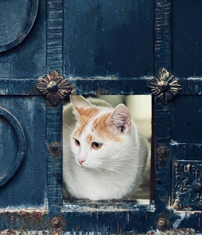 Photograph by Ксения Гулькова