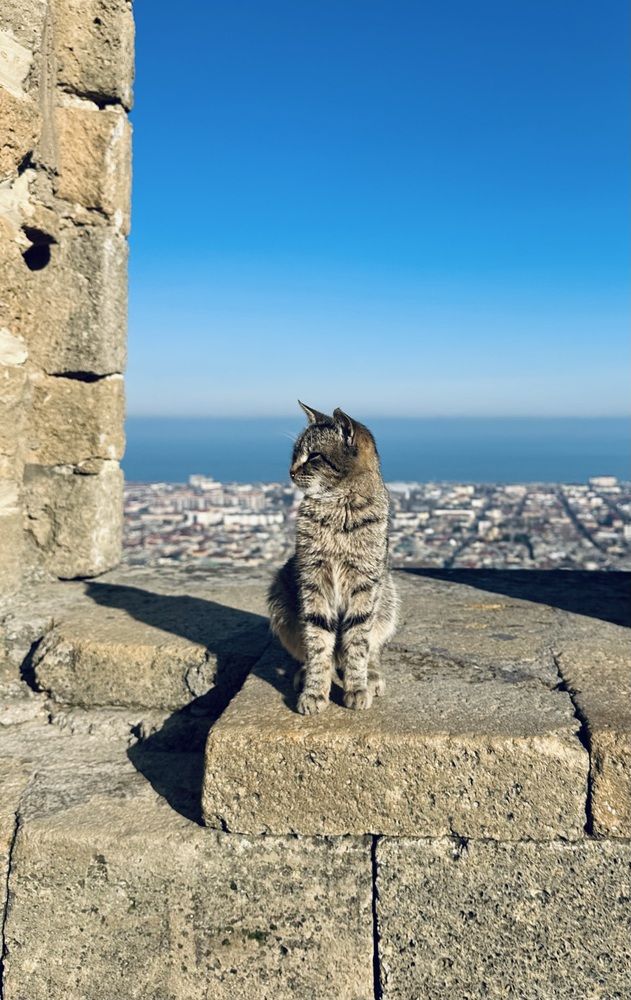 Photograph by Ксения Гулькова