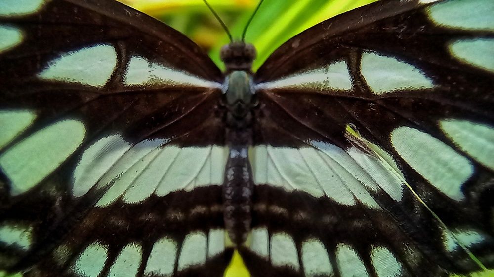 Фотография автора Tharuni Shyamika Lakmali Wella Waduge