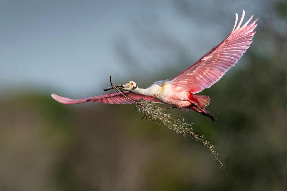 Photograph by KAREN BILGRAI COHEN