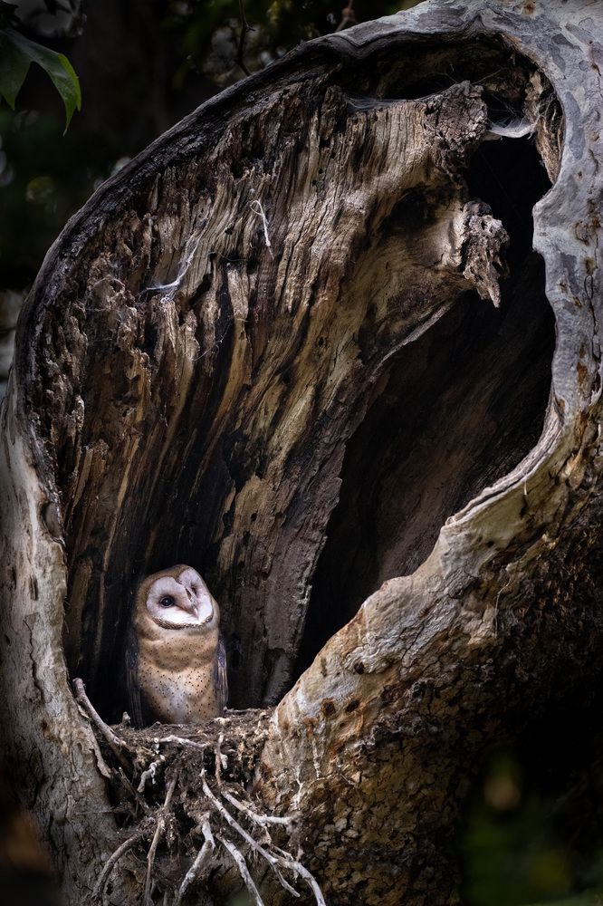 Photograph by KAREN BILGRAI COHEN