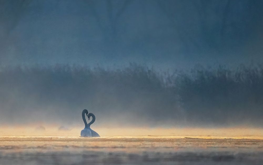 Photograph by KAREN BILGRAI COHEN