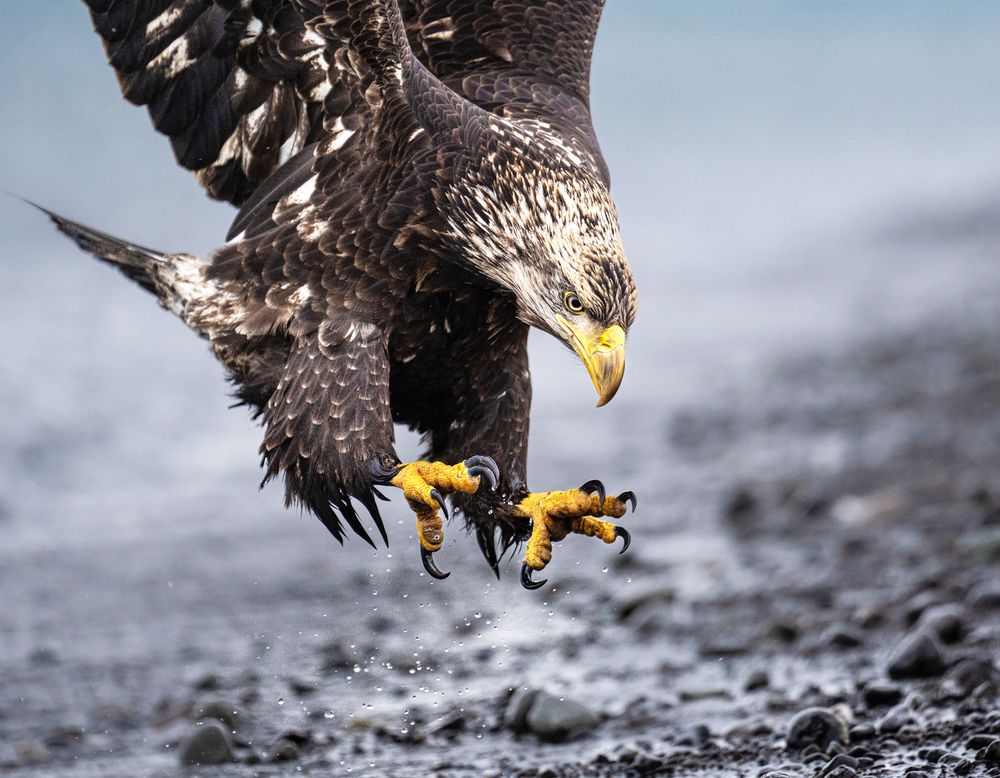 Photograph by KAREN BILGRAI COHEN