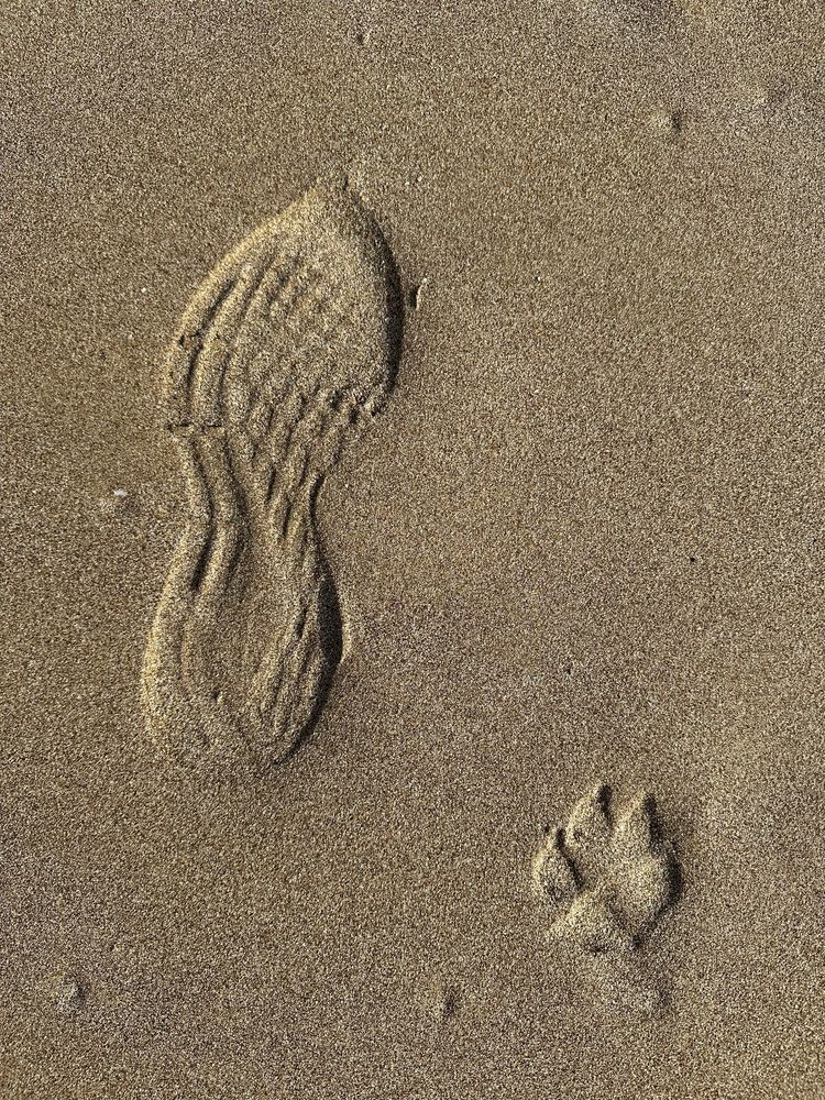 Photograph by Svetlana Rashidova