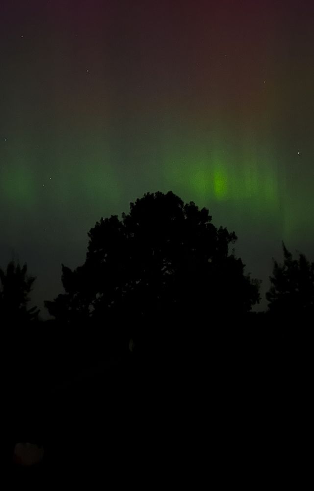 Фотография автора Евгения