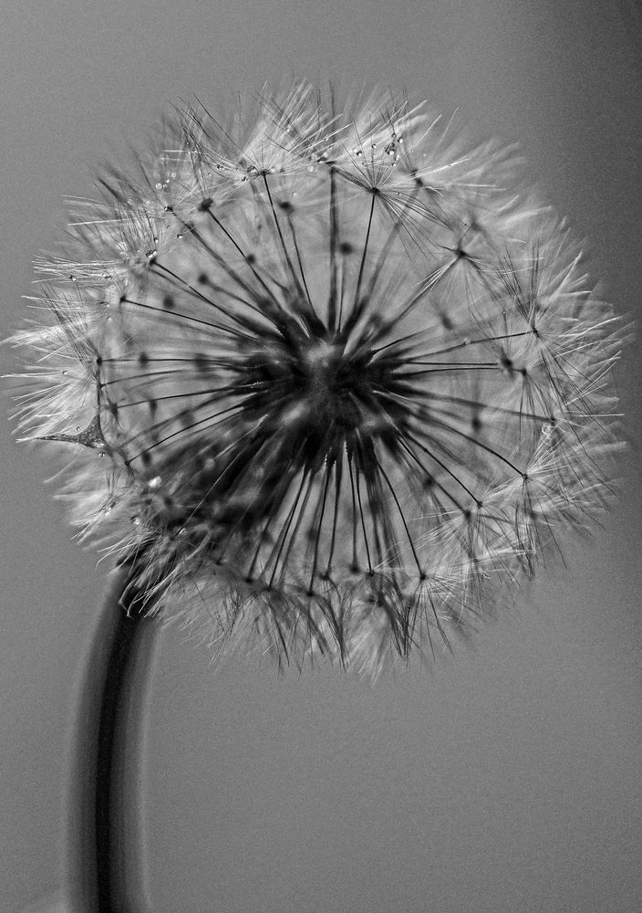 Photograph by Ольга Беспалько