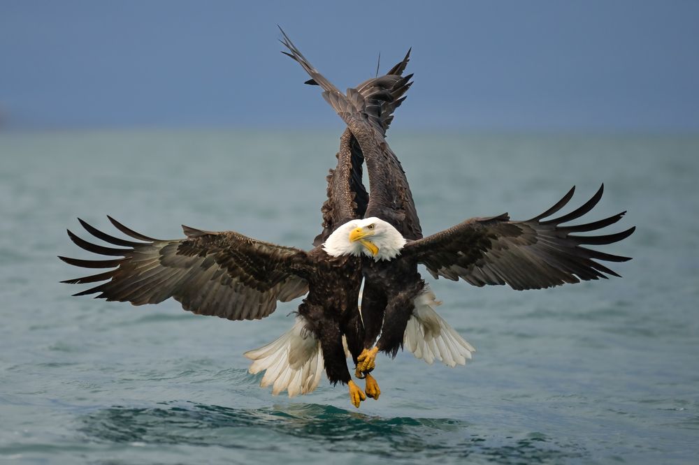 Photograph by KAREN BILGRAI COHEN