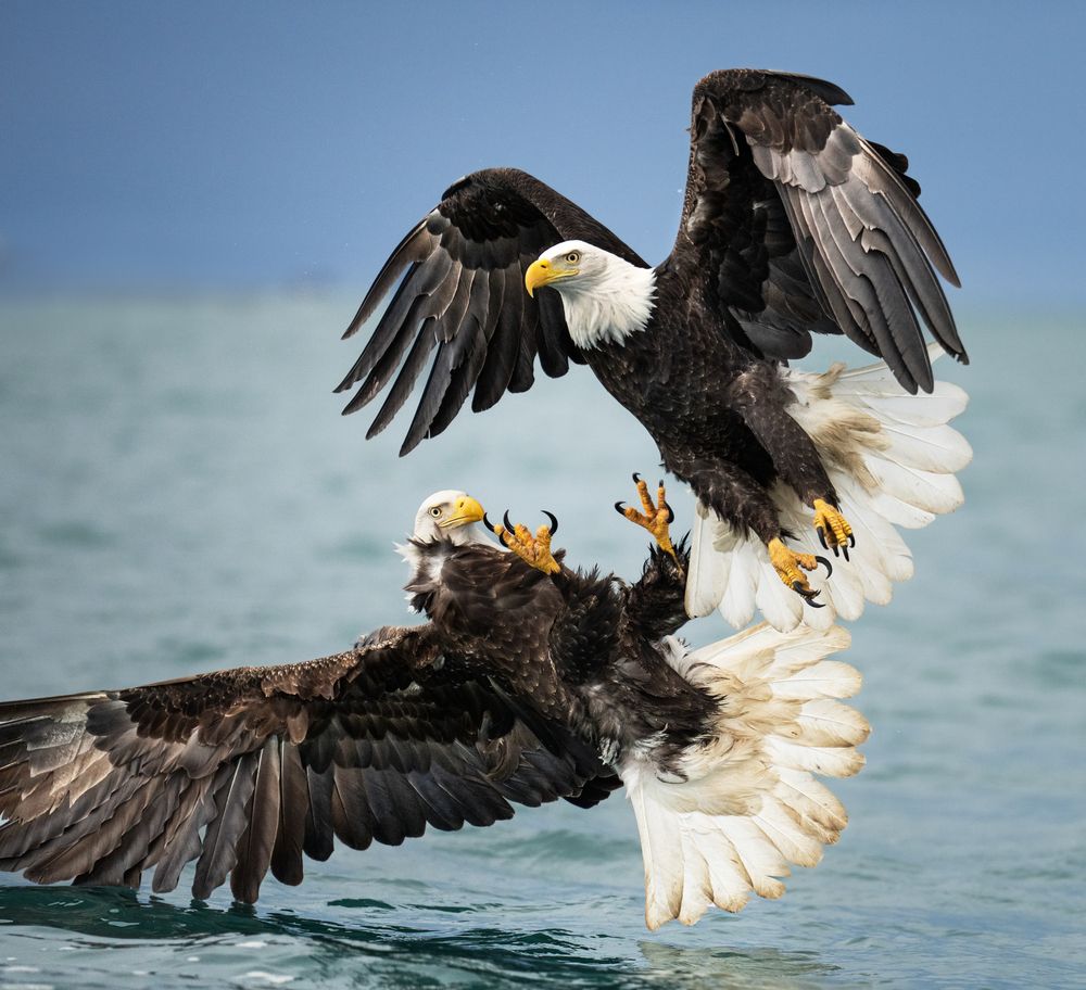 Photograph by KAREN BILGRAI COHEN