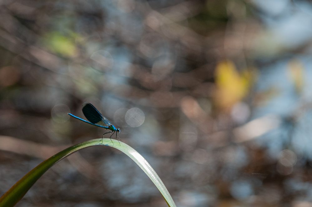 Photograph by Динара Зуйкова