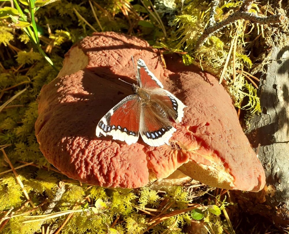 Photograph by Юрий Пучков