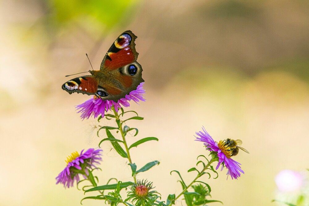 Photograph by Сиваков Алексей