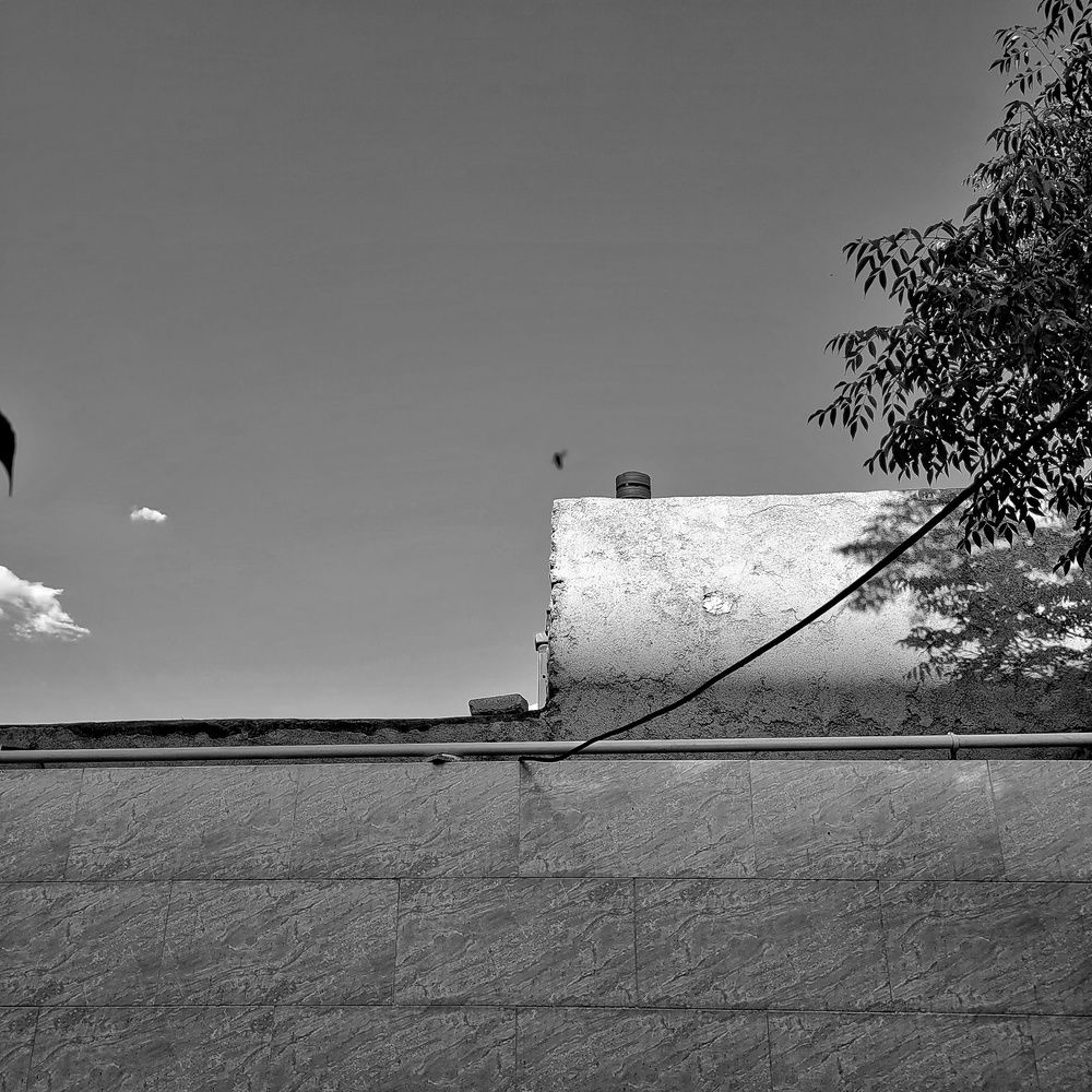 Photograph by Makina Amiri