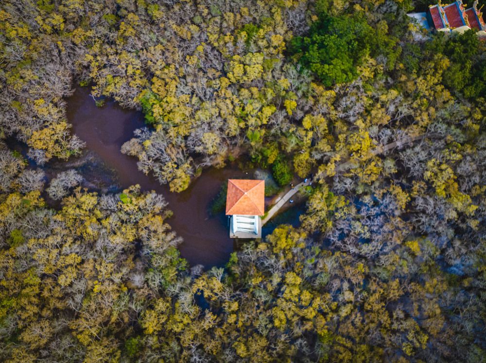 Фотография автора Quan Hung